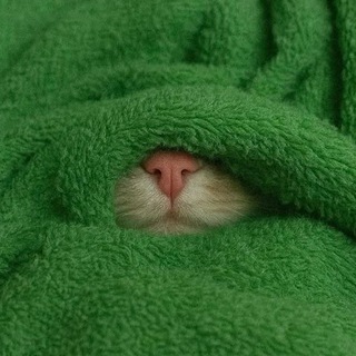 Telegram profile photo for реклама в одеялке 🧃⋆˚࿔
