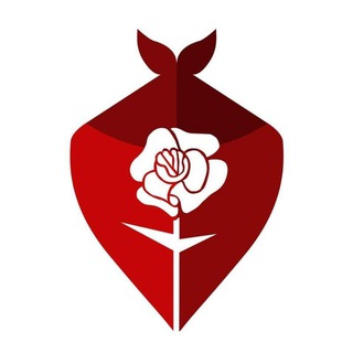 Telegram profile photo for Los Pañuelos Rojos 🔻