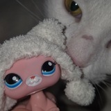 Telegram profile photo for кокококококо с?