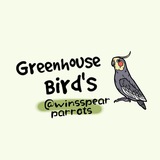 Telegram profile photo for ⋆˚Greenhouse Bird's˚🪶⋆