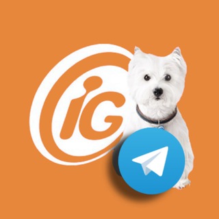 Telegram profile photo for iG Último Segundo