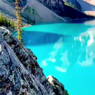 Telegram profile photo for Мир природы/Nature peace Походы/Hiking Готовим у костра/Cooking by the fire