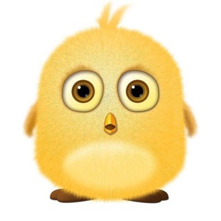 Telegram profile photo for TG知识库