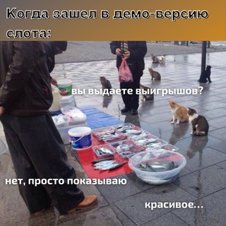 Telegram profile photo for Комета казино — онлайн-казино в интернете