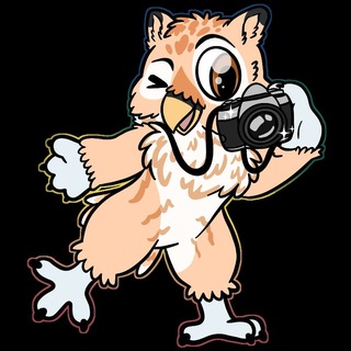 Telegram profile photo for Ikon's Photography
