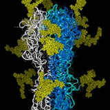 Telegram profile photo for Clinical Biochemistry