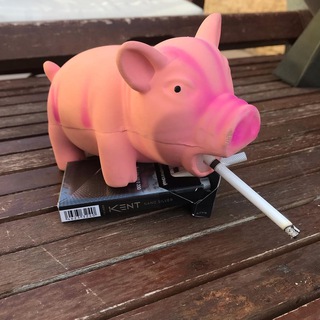 Telegram profile photo for Бытиё есть панчлайн