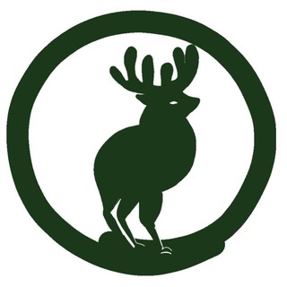 Telegram profile photo for Дикими Тропами • Экспедиции