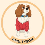 Telegram profile photo for Отзывы Amu.Tyson 🐾