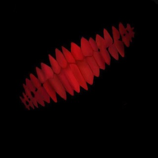 Telegram profile photo for микс