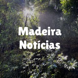 Telegram profile photo for Madeira Notícias · Funchal