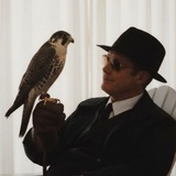Telegram profile photo for Profit Portal