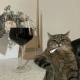 Telegram profile photo for Chill Cat