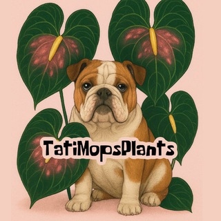 Telegram profile photo for Излишки Tati