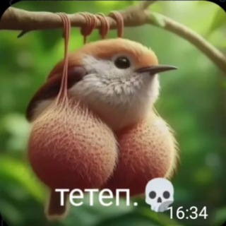 Telegram profile photo for земля пастеров