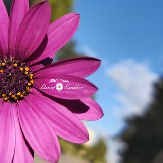 Telegram profile photo for قُطُوفُهَا دَانِيَةٌ..♡