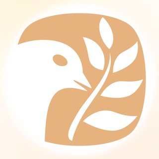 Telegram profile photo for Центр медиации “Solis”