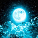 Telegram profile photo for 𝐊à𝐋𝐎𝐍