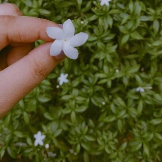 Telegram profile photo for ركُن هادئ ليطمئن قلبك '🌿