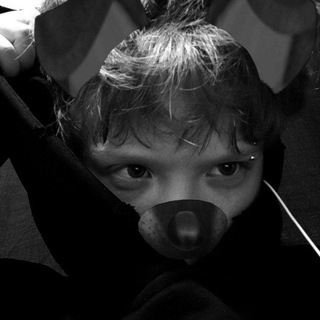 Telegram profile photo for архив веника
