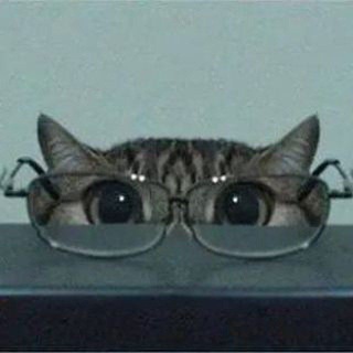 Telegram profile photo for 🎶Местный бар бухла🐈⬛