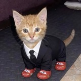 Telegram profile photo for сешка дурдоз