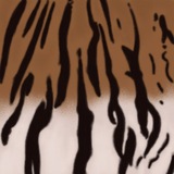 Telegram profile photo for پاسارگاد🐅