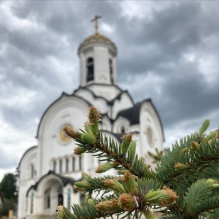 Telegram profile photo for Елисаветинский храм г. Красногорск