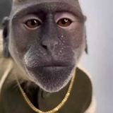 Telegram profile photo for Trading hub 3.0