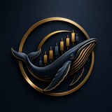 Telegram profile photo for OceanVest