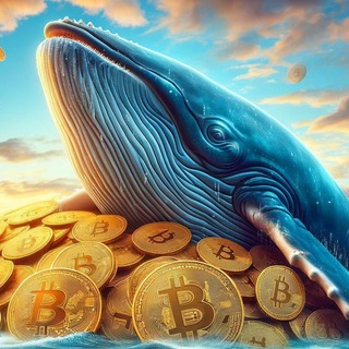 Telegram profile photo for Whale Tale 🐋