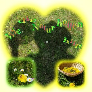 Telegram profile photo for Wie die Natur heilen hilft