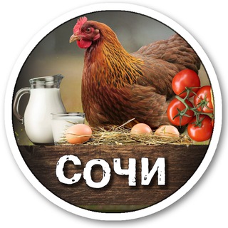 Telegram profile photo for ВСЕ ДОМАШНЕЕ СОЧИ