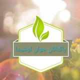 Telegram profile photo for انجمن پاکبانان جوان اوشیدا🌳
