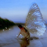 Telegram profile photo for 🦋 پروانه🦋
