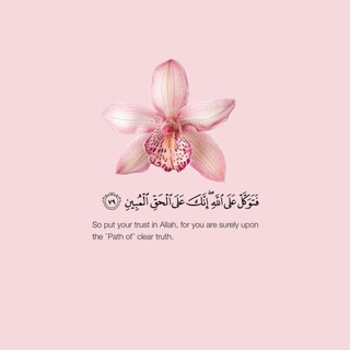 Telegram profile photo for مُحـمَّد ولا غَالِبَ إلّا اللـه.