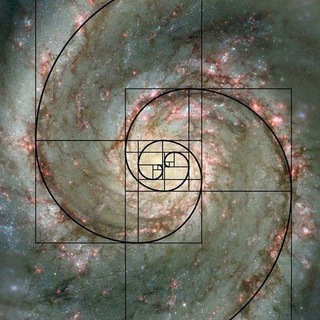 Telegram profile photo for Libros de Matemáticas