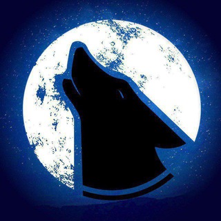 Telegram profile photo for Night Wolwes Shop