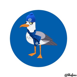 Telegram profile photo for Bha Fans | Brighton