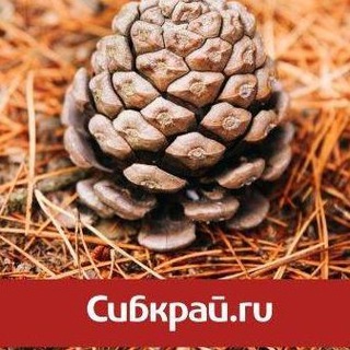 Telegram profile photo for СИБКРАЙ
