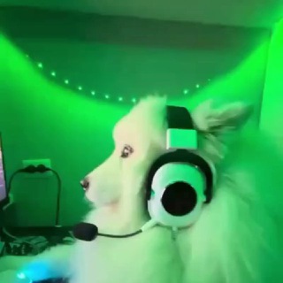 Telegram profile photo for Doga mali