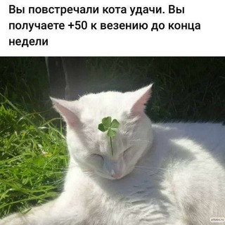 Telegram profile photo for Кот УДачи