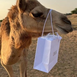 Telegram profile photo for بوح و شعر و قصيده