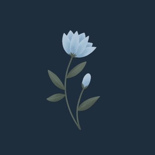Telegram profile photo for ﴿ثُم إليهِ تُرجَعُونَ﴾
