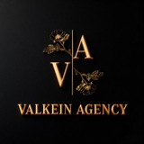 Telegram profile photo for Кейсы ValkeinAgency