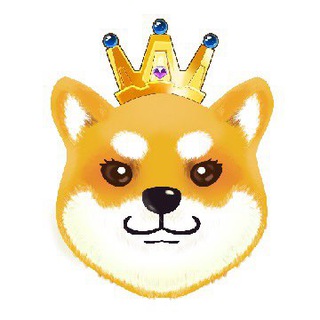 Telegram group profile photo for Shiba Wife 柴皇后-中文社区