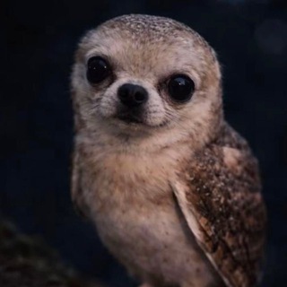 Telegram profile photo for семьсот семь