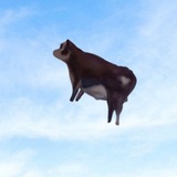 Telegram profile photo for MOOONER