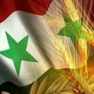 Telegram profile photo for قناة سورية الآن