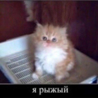 Telegram profile photo for Стаканчик 😘